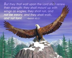 Isaiah 40:31 - Eagle