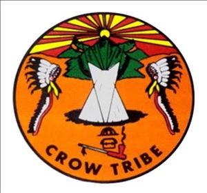 Crow nation flag